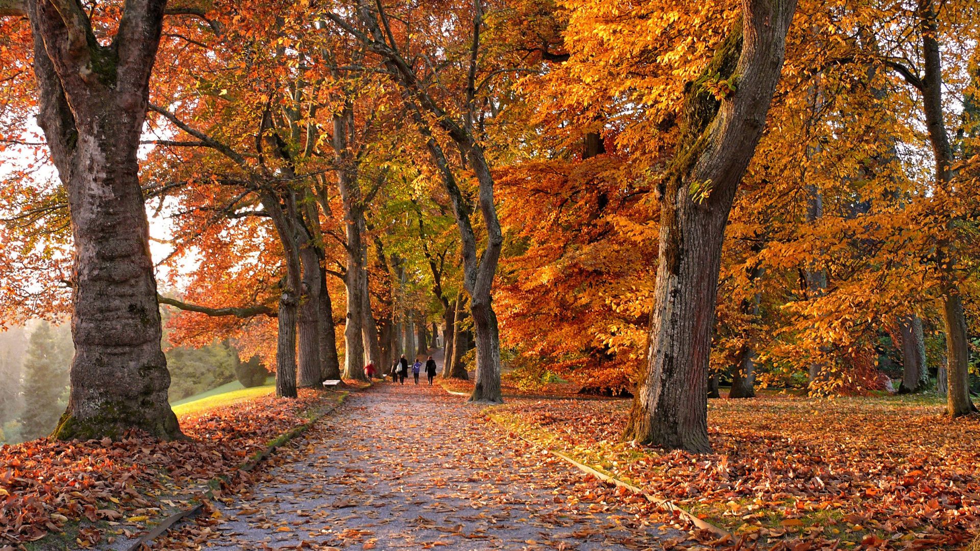 Autumn in London